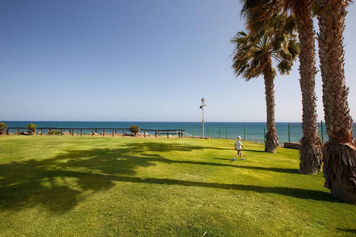 Orquidea-General-view-41