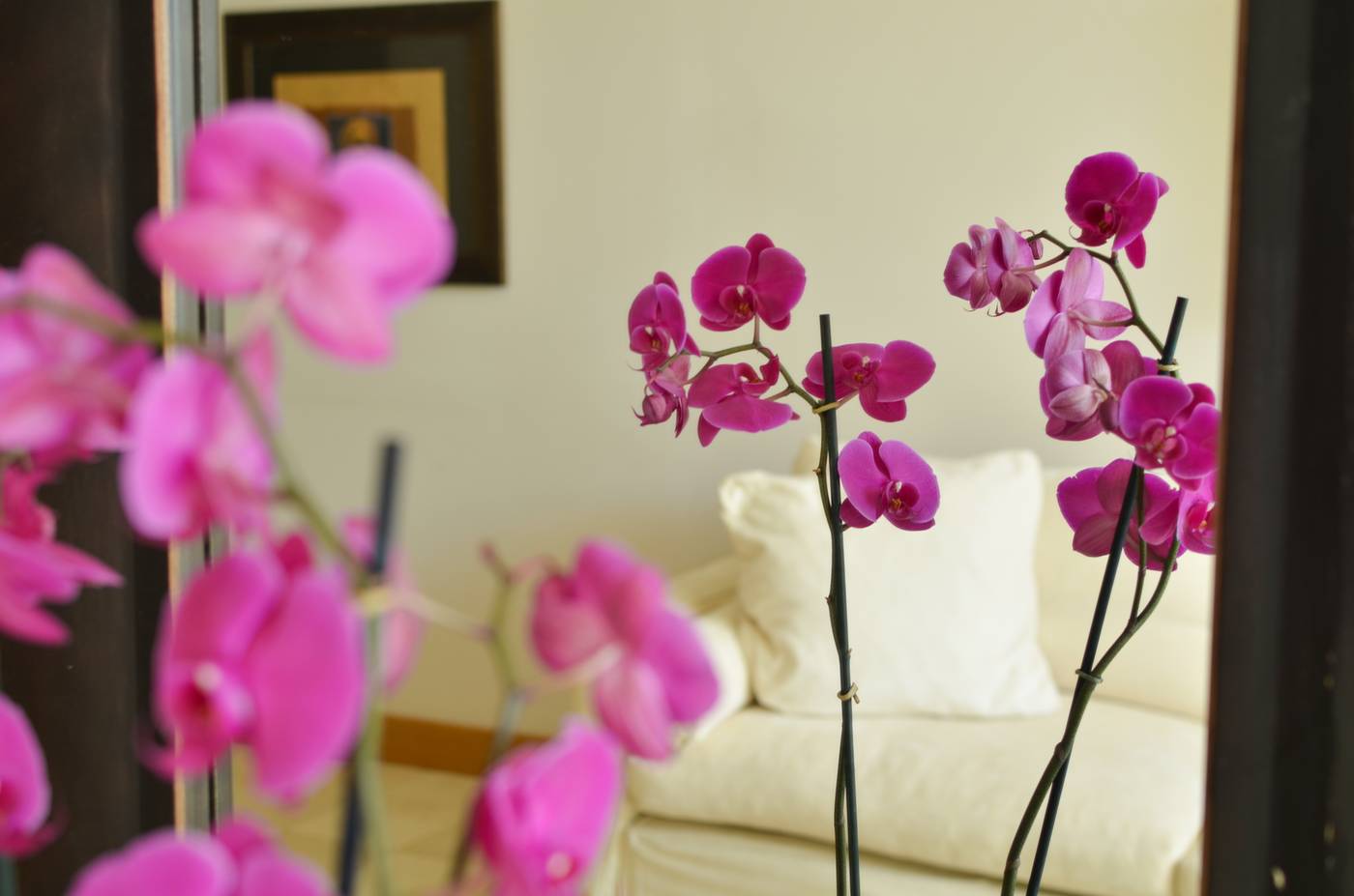 Plaza-Resort-Hotel-Room-40