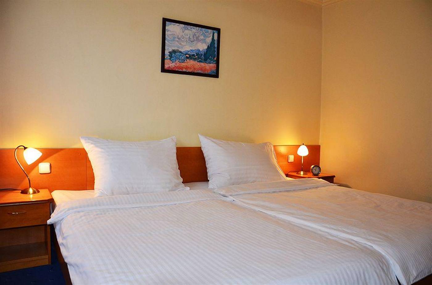 Austria-Suites-General-view-1