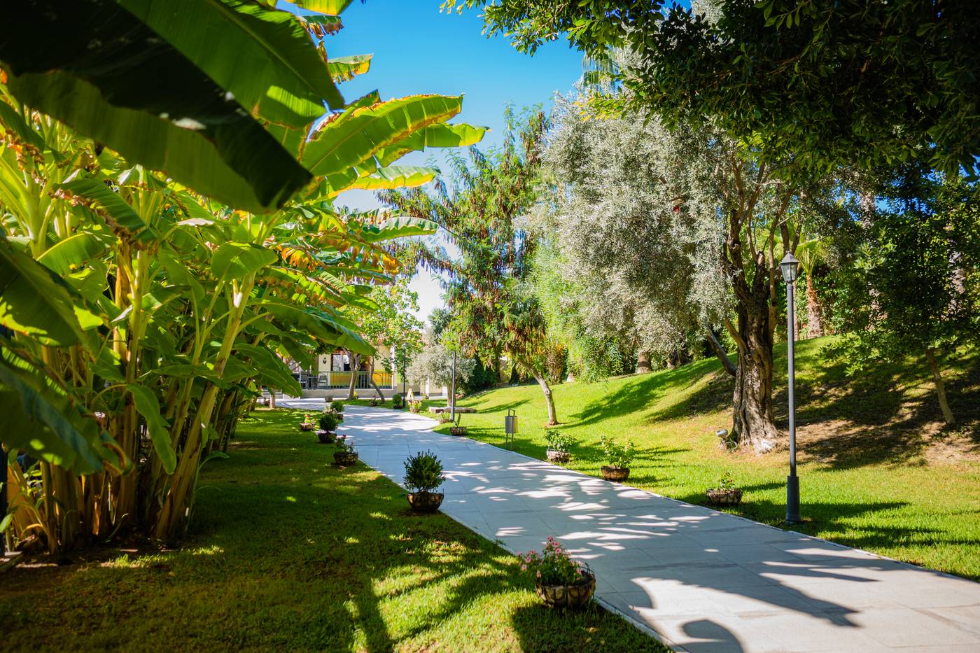 Sural Resort