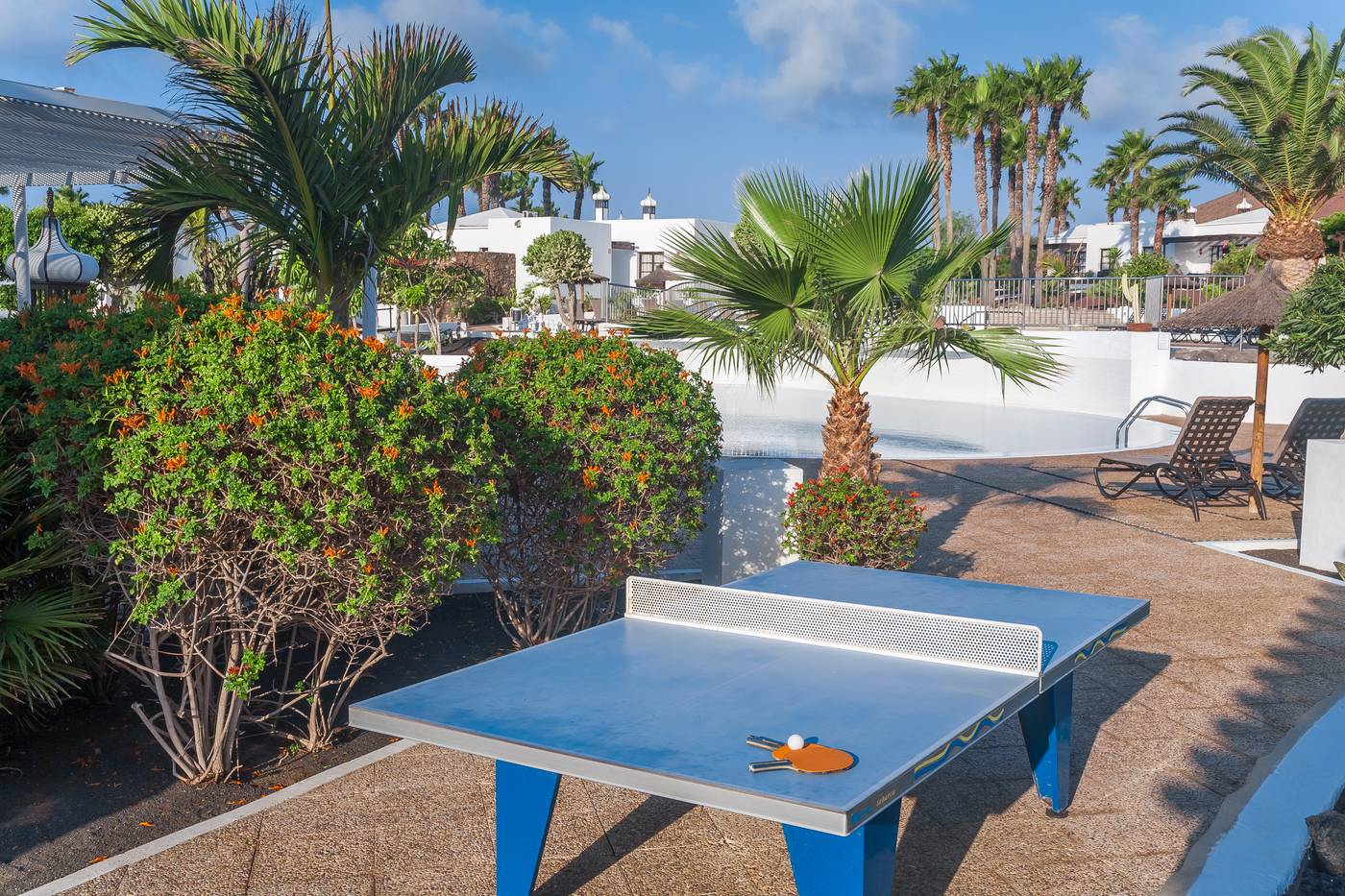 Jardines-del-Sol-Sports-and-Entertainment-15