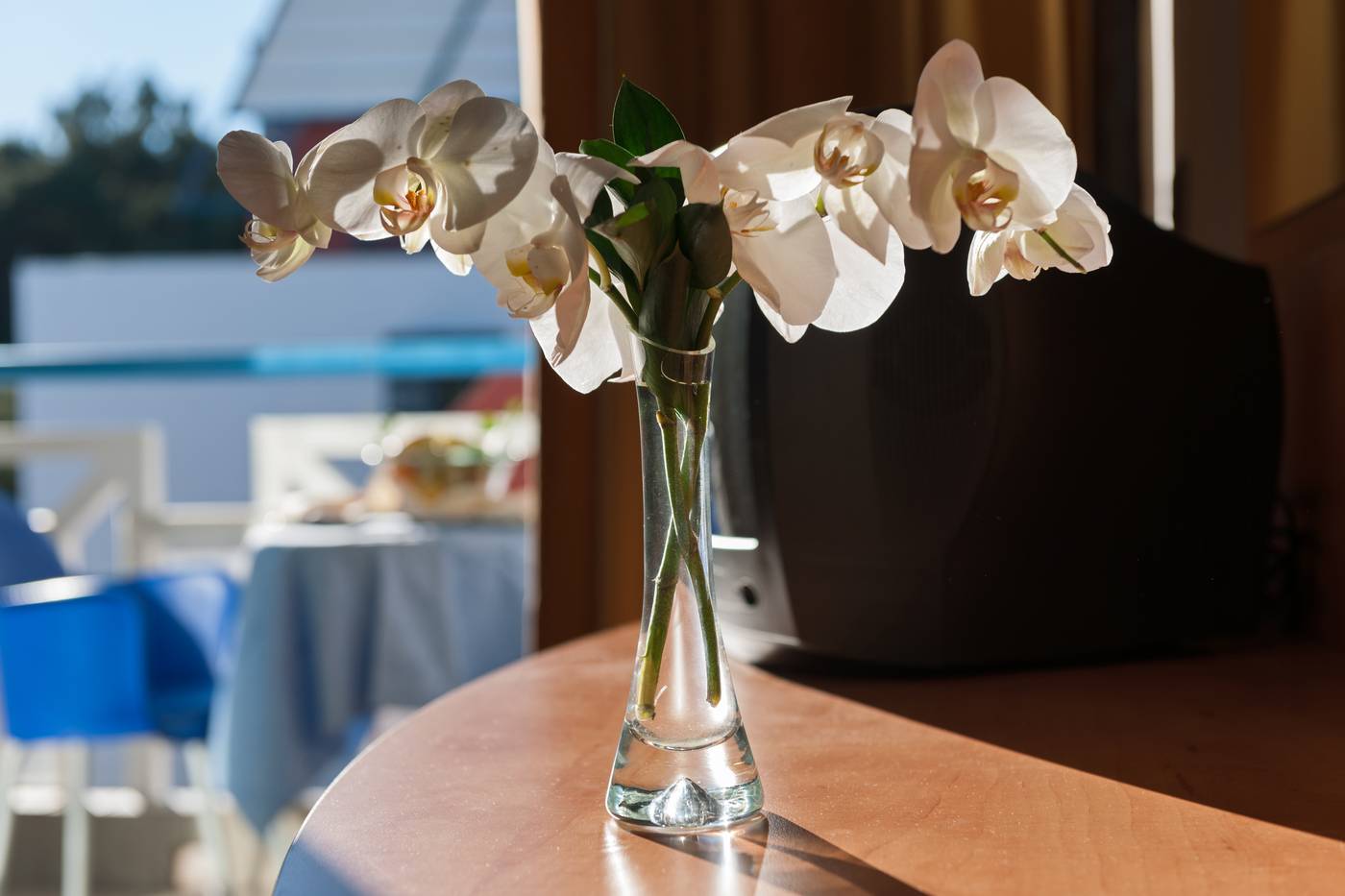 Grand-Park-Hotel-Rovinj-by-Maistra-Collection-Room-51