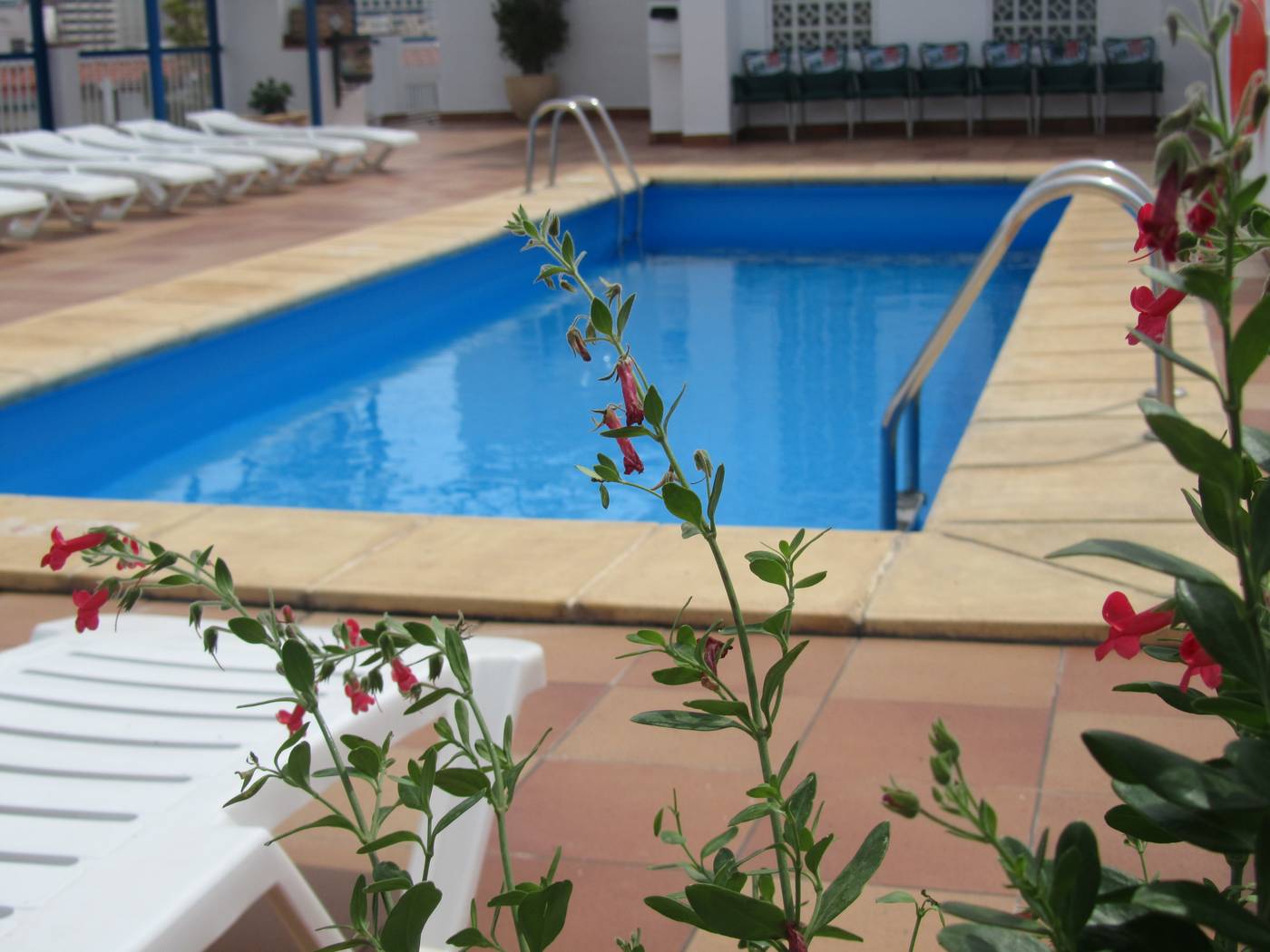 Mareny-Benidorm-Pool-5