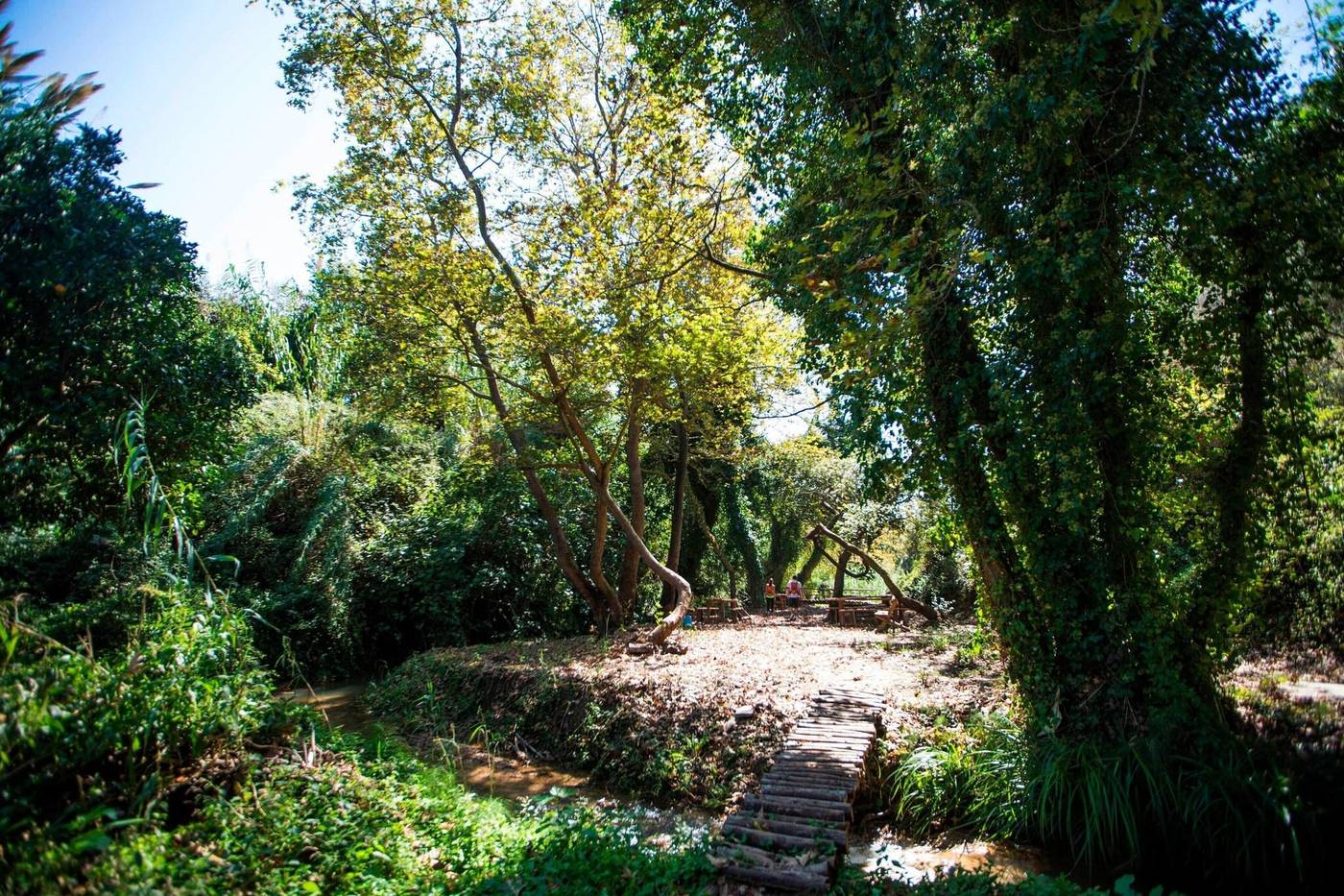 The-Westin-Resort-Costa-Navarino-Sports-and-Entertainment-25