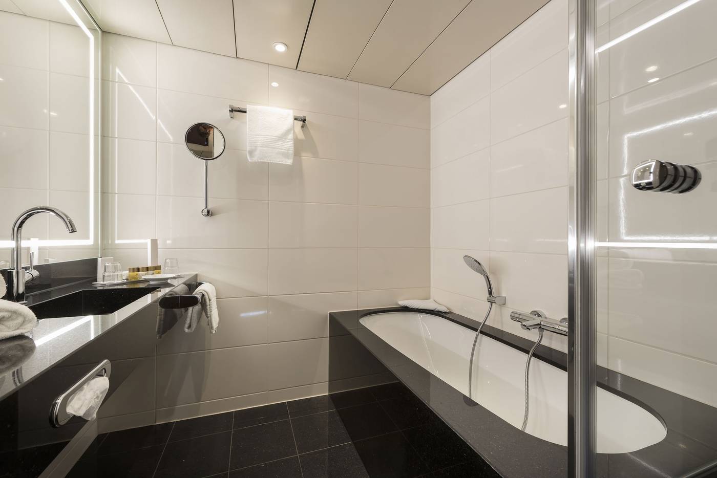 Maritim-Hotel-Bonn-Room-47