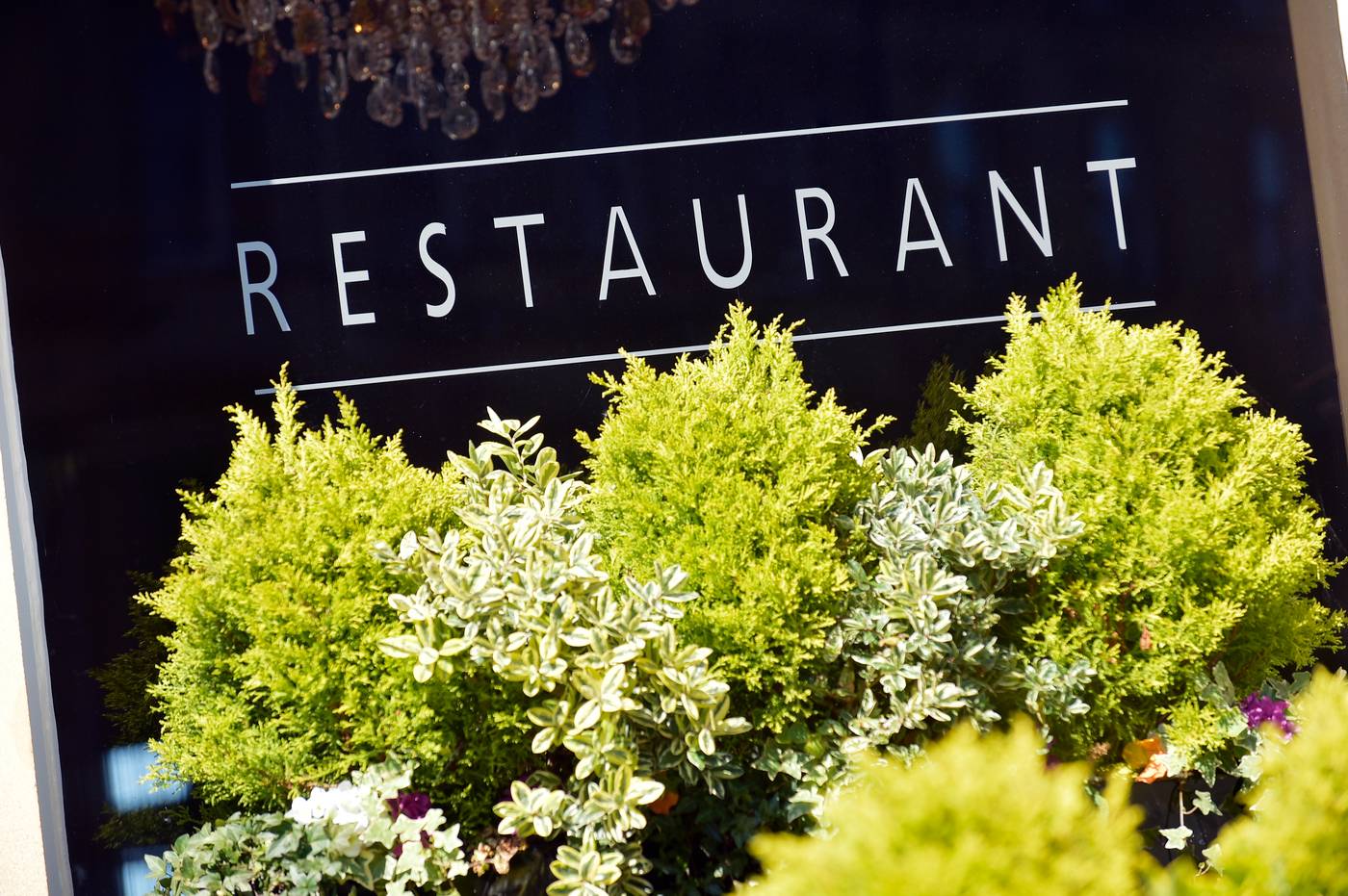 The Bonham Hotel - United Kingdom - EDINBURGH - General view - 2