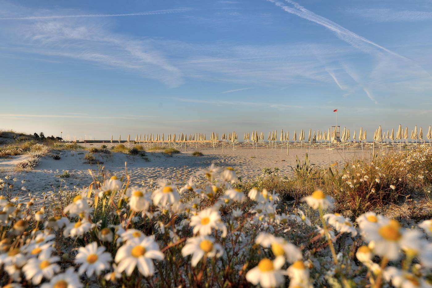 Cala-della-Torre-Beach-62