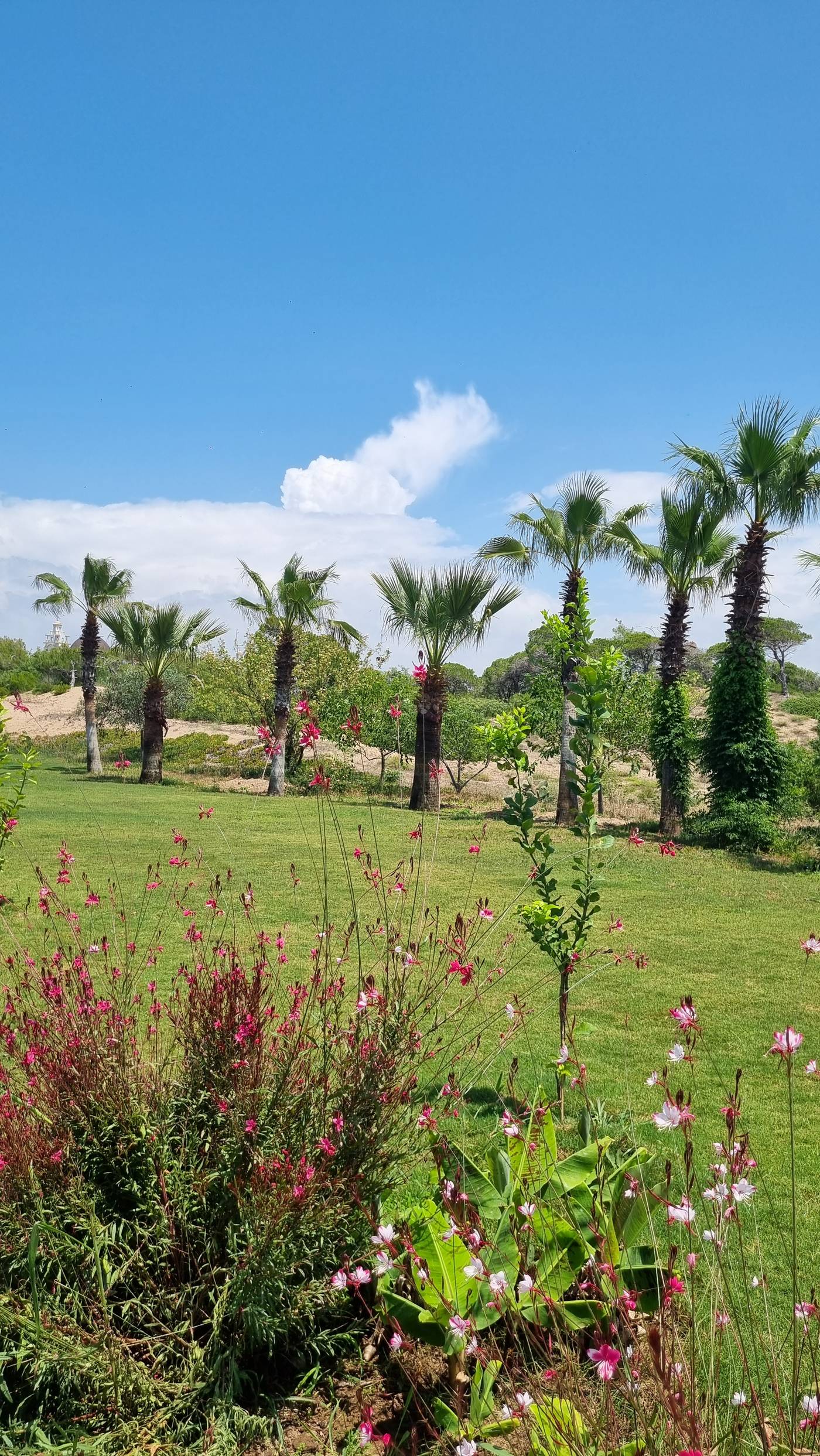 Jadore-Deluxe-Hotel---Spa-Beach-16