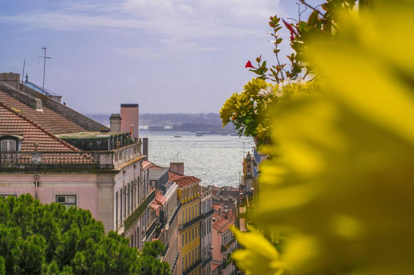 Casinha-Das-Flores-Room-10