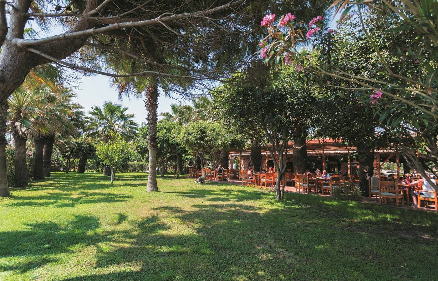 Defne-Ana--Terrace-4