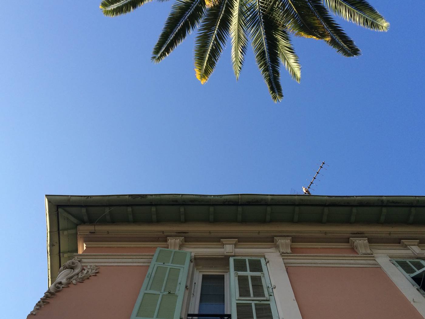 Villa-Rose-General-view-7