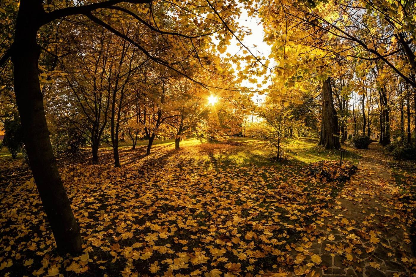 Dwor-w-Tomaszowicach-General-view-69