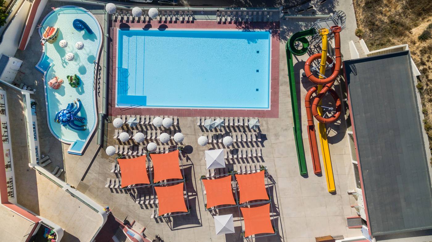 19.01.26 Ukino Palmeiras