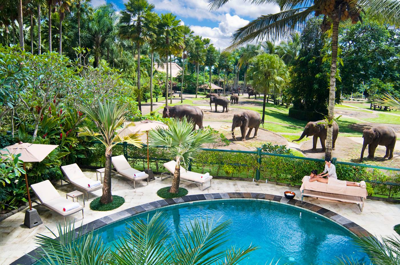 Mason Elephant Park and Lodge Gianyar Bali-Indonesia-UBUD-General view-1