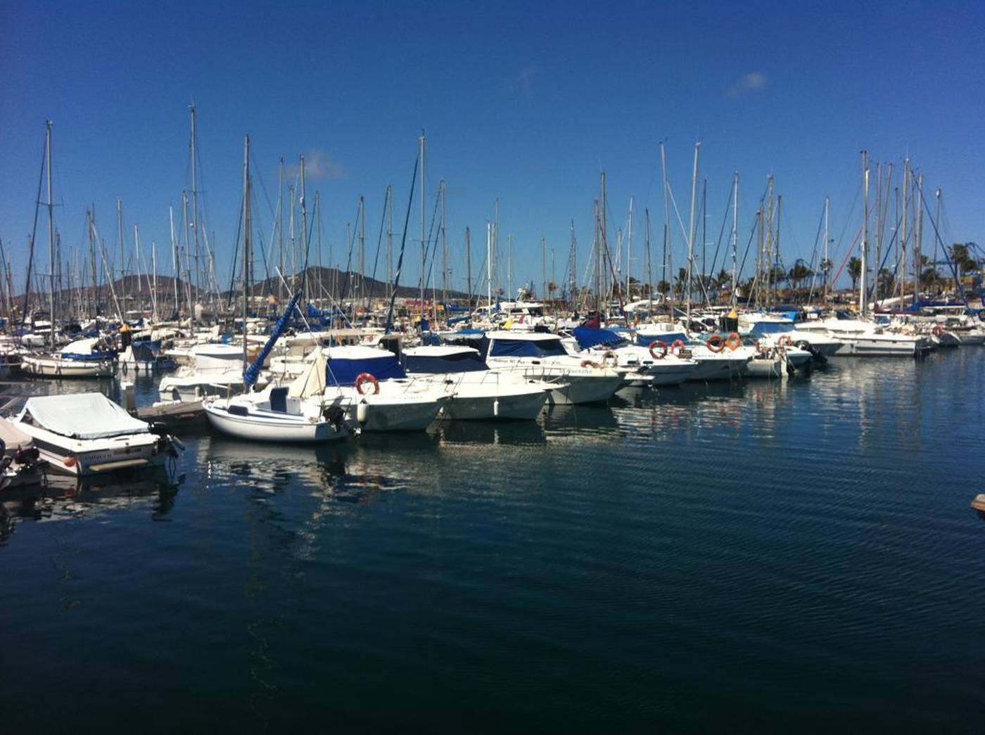 Miami-Las-Palmas-General-view-25