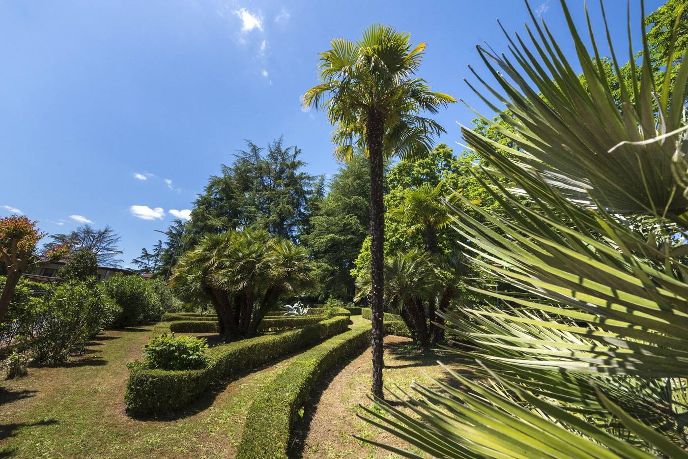 Villa-Scacciapensieri-General-view-70