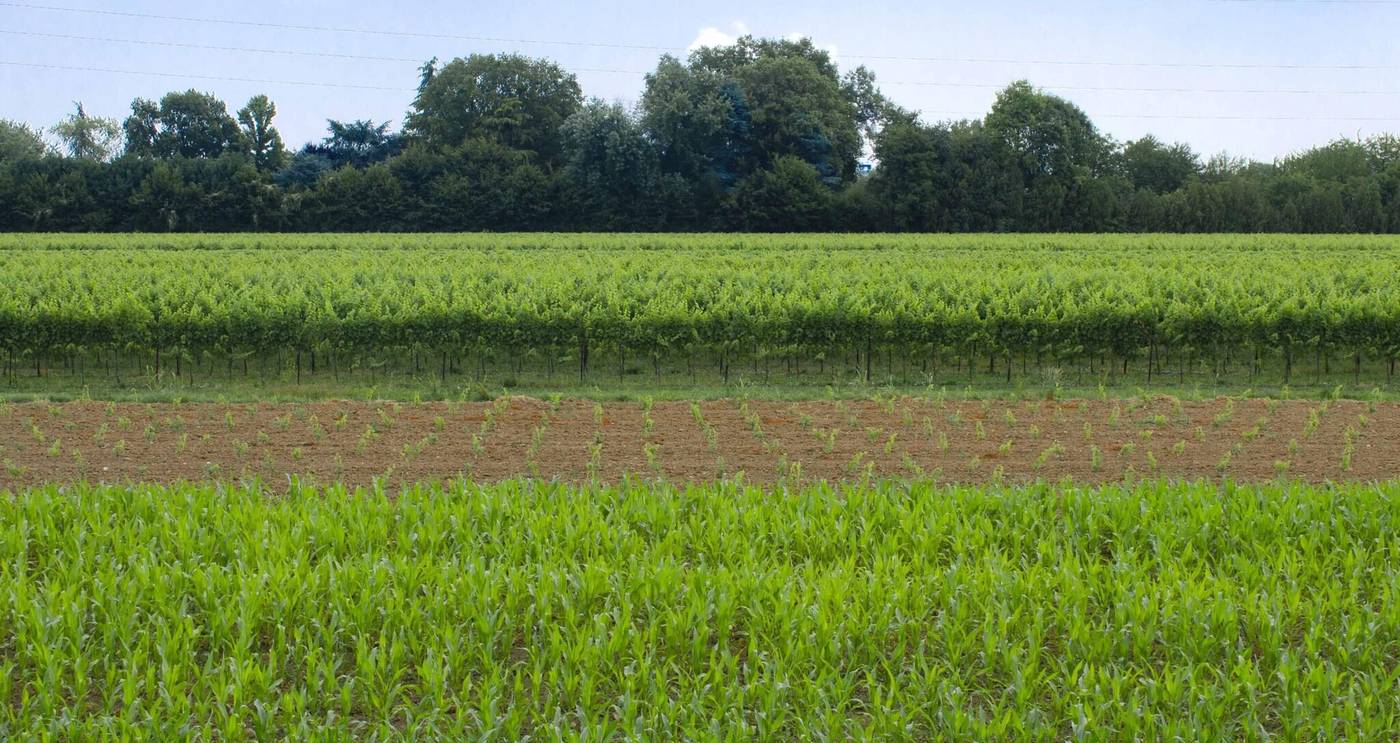 Green Garden Resort-Italy-Venezia-General view-4