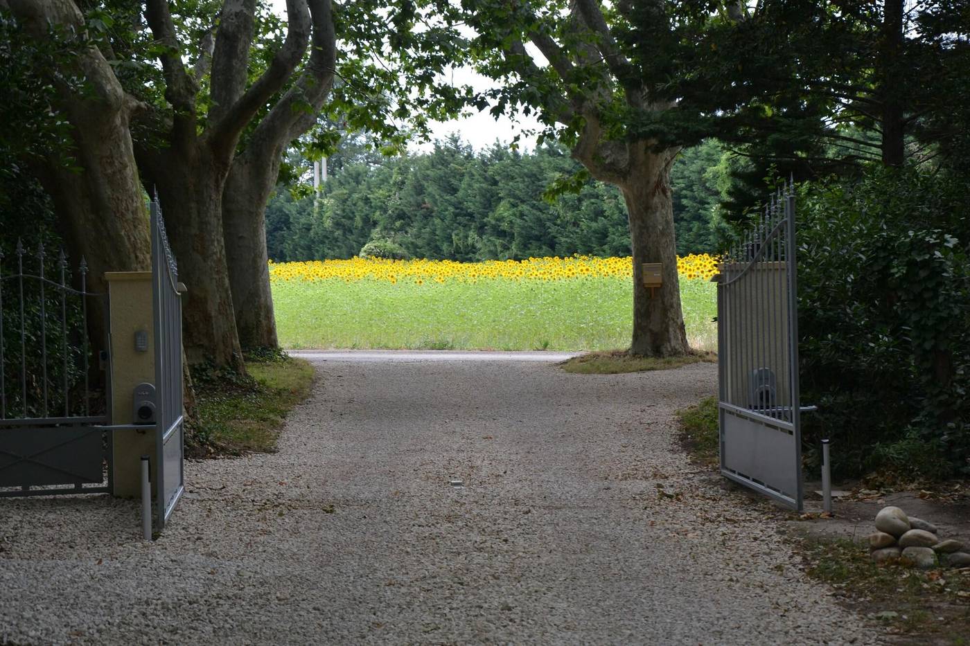 Mas De Capelou-France-Avignon-General view-2