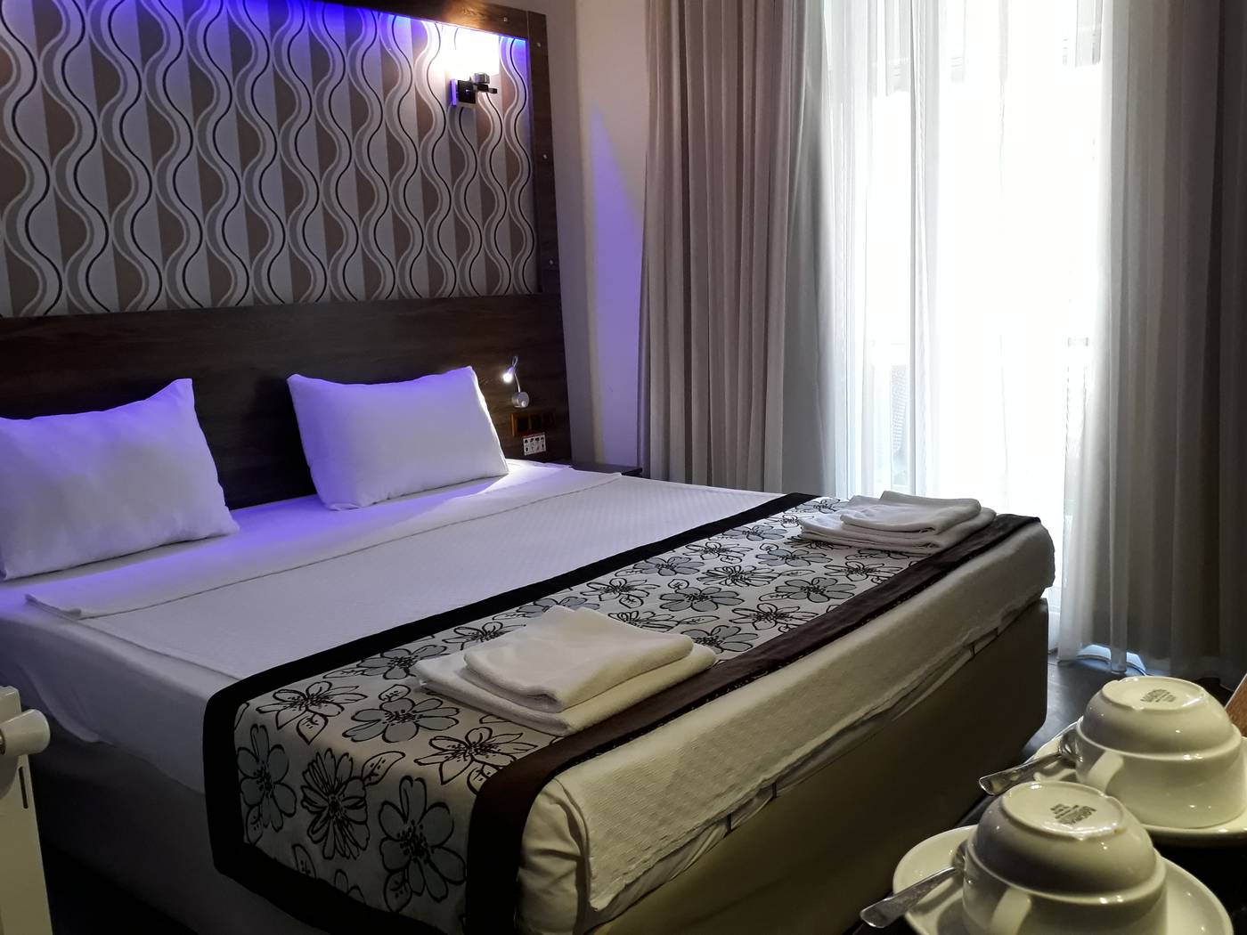 Dolphin-Apart-Room-16