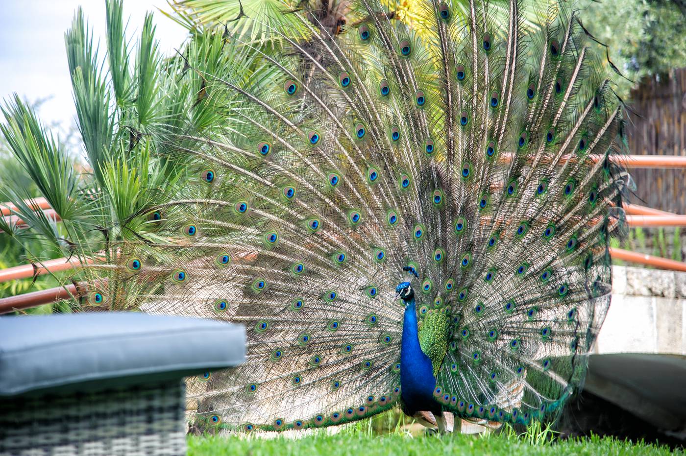 Achtis-Hotel-Terrace-13