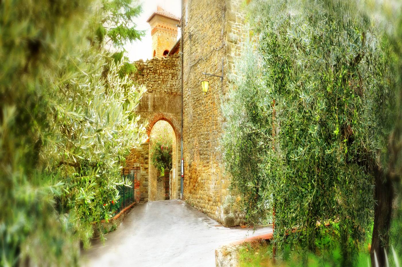 Il Fondaco Del Moro-Italy-OLIVETO-General view-1