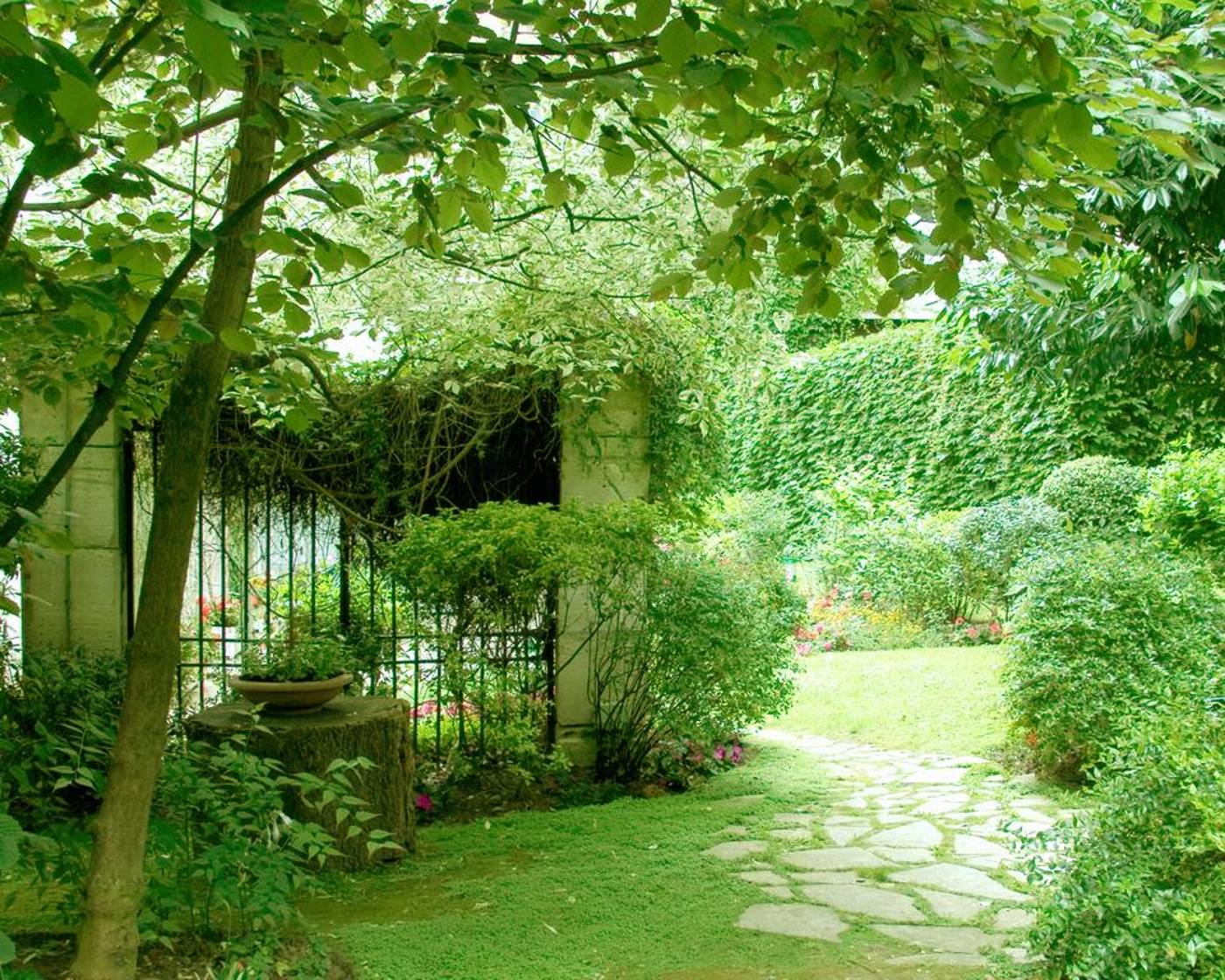 Abaca-Messidor-by-Happyculture-Terrace-46