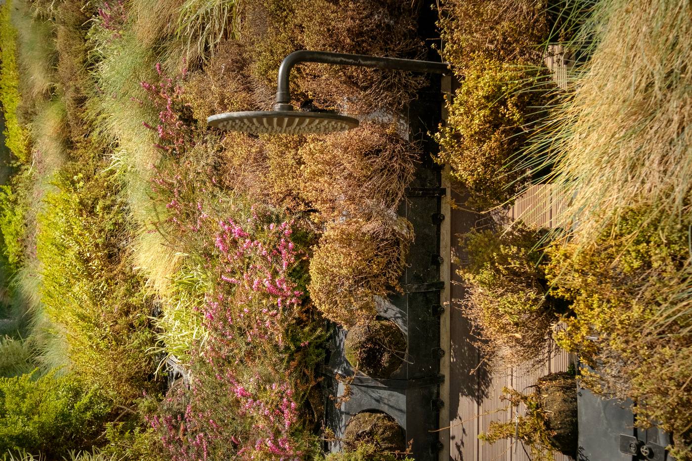 Mourasuites-Hotel-Pool-56