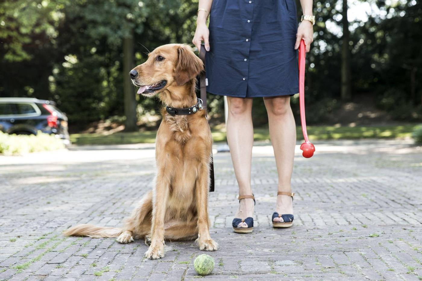 Parkzicht-Netherlands-EINDHOVEN -Room-10