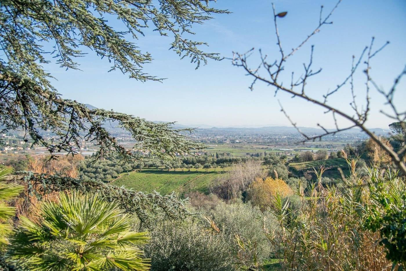 Agriturismo-Villa-Pedone-Room-60