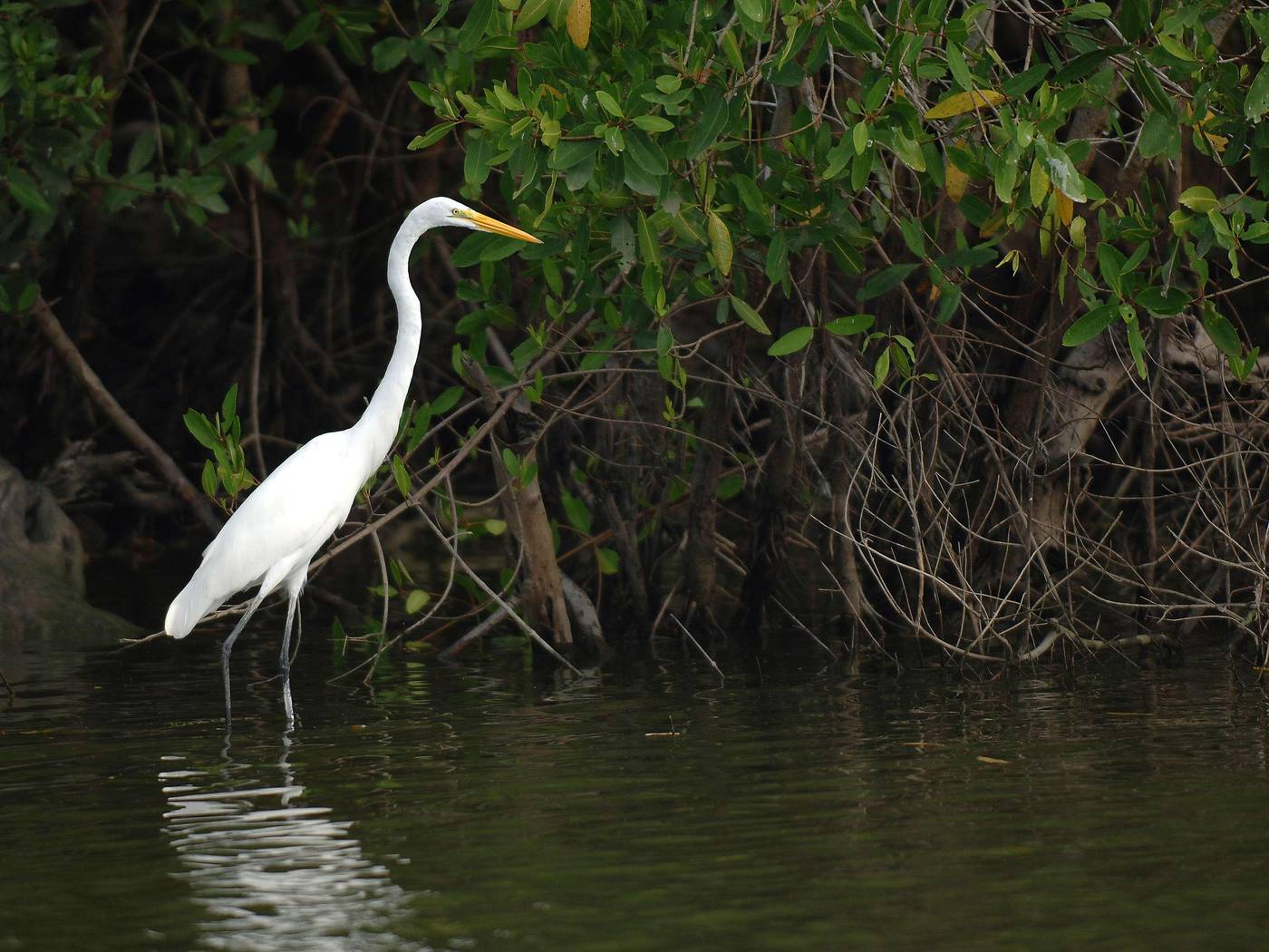 Fairmont-Mayakoba-General-view-111