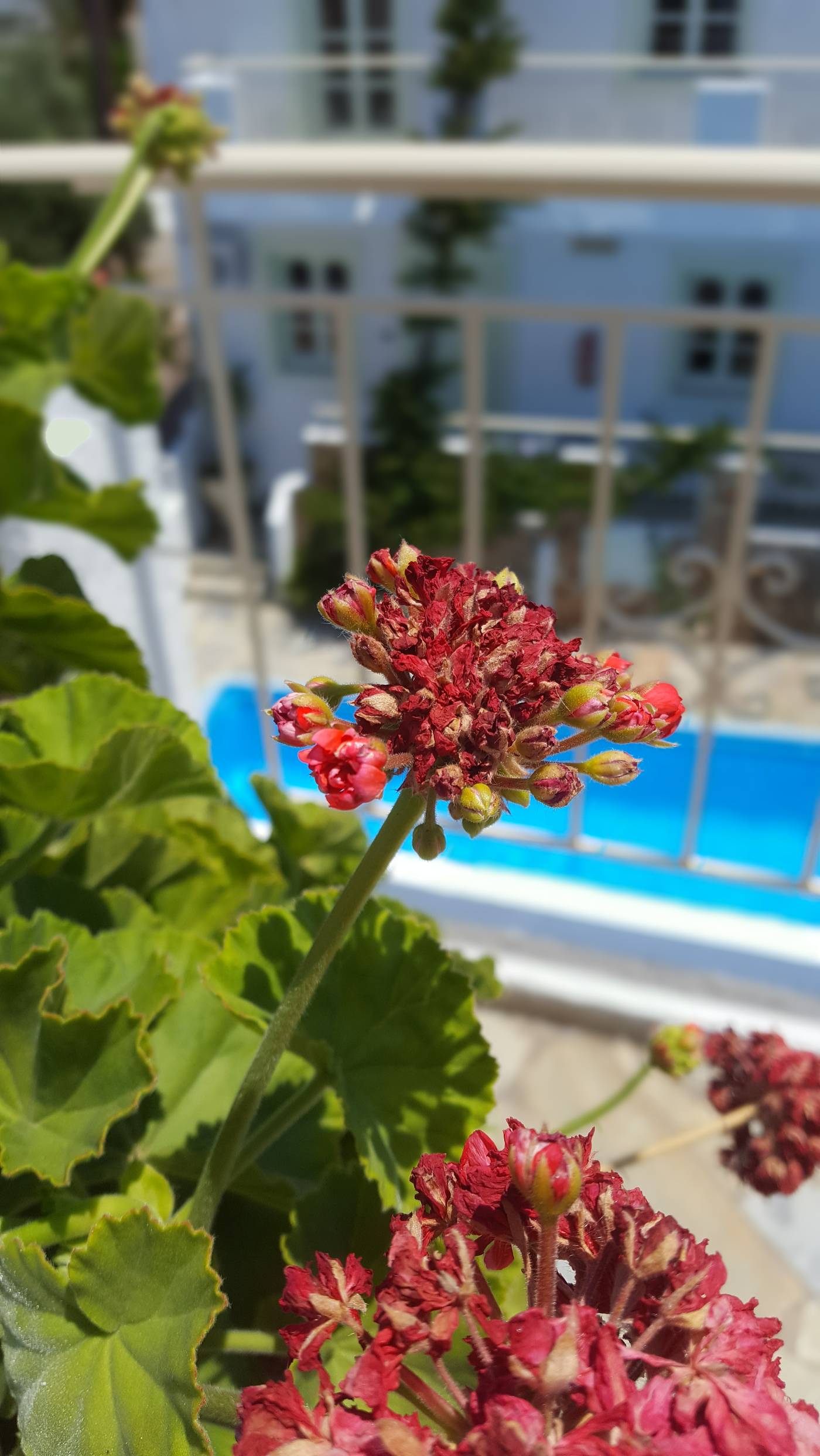 Semiramis-Apartments-General-view-10