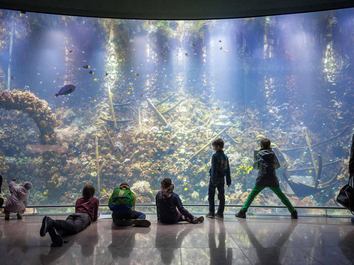 ibis Antwerpen Centrum-Belgium-ANTWERPEN-General view-6