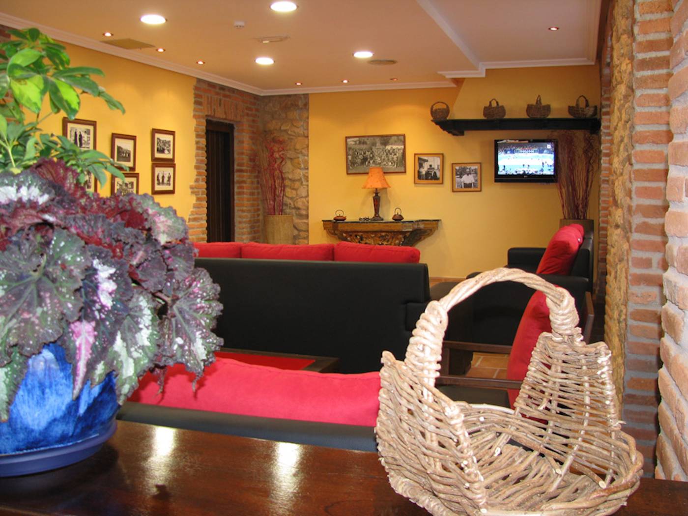 Maria Manuela-Spain-Benia De Onis-General view-4