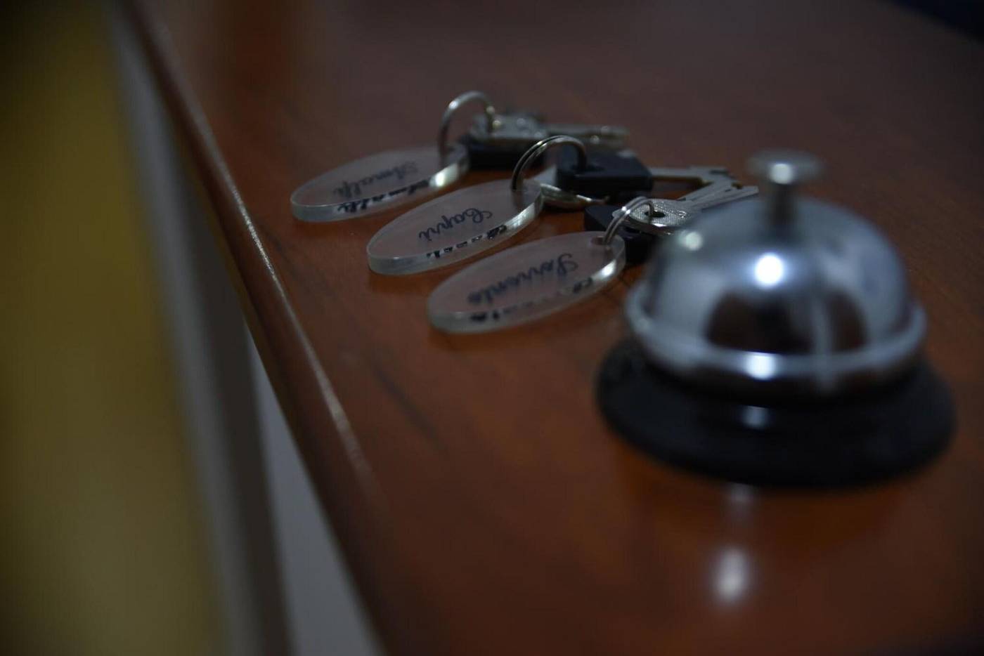 The-Night-Sorrento-Sports-and-Entertainment-15