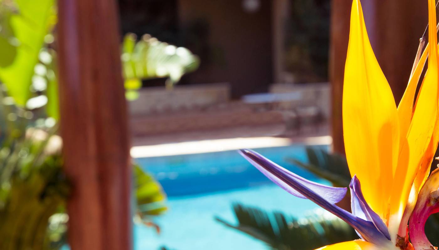 Swiss-Hotel-Moraira-Pool-24