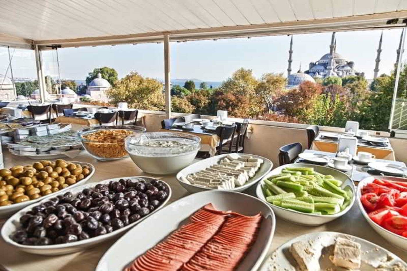 Star-Holiday-Terrace-22