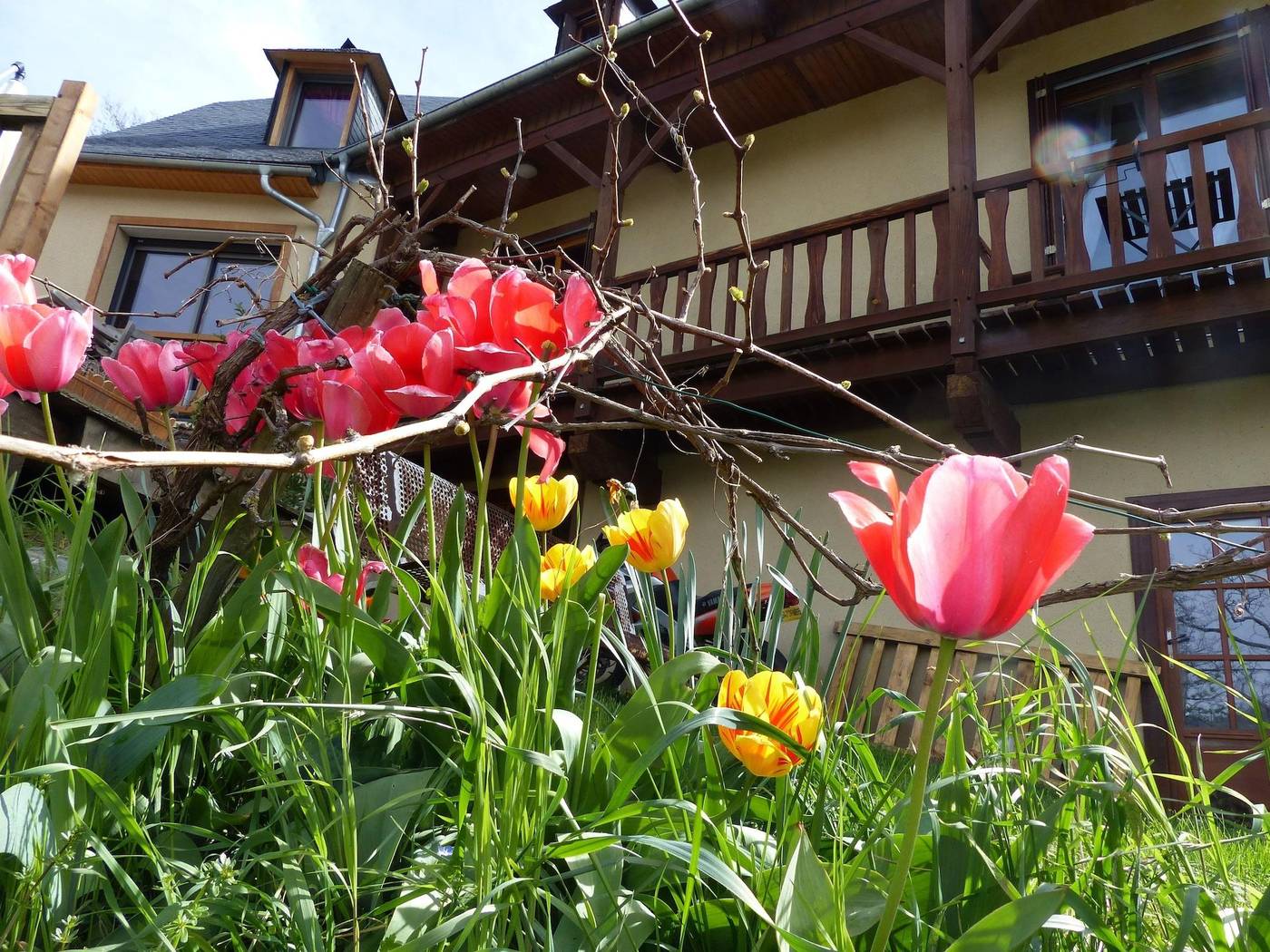 Chambres d'hôtes Las Vignes-France-BEAUCENS-General view-4