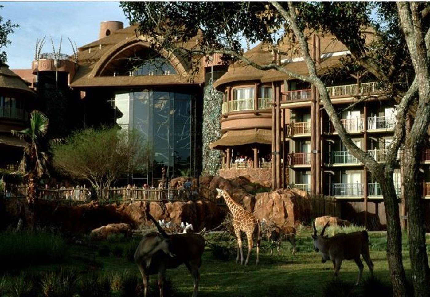 Disneys Animal Kingdom Lodge in Florida, USA