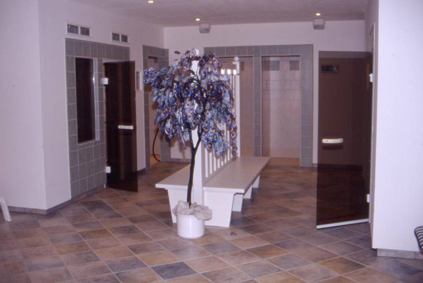 Edelweiß-Austria-GÖTZENS-General view-1