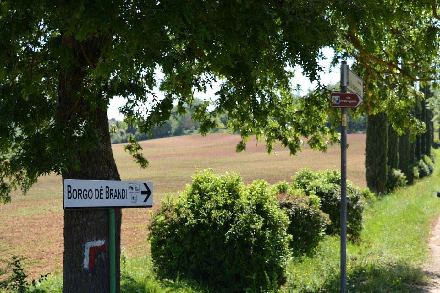 La-Caminata-General-view-36