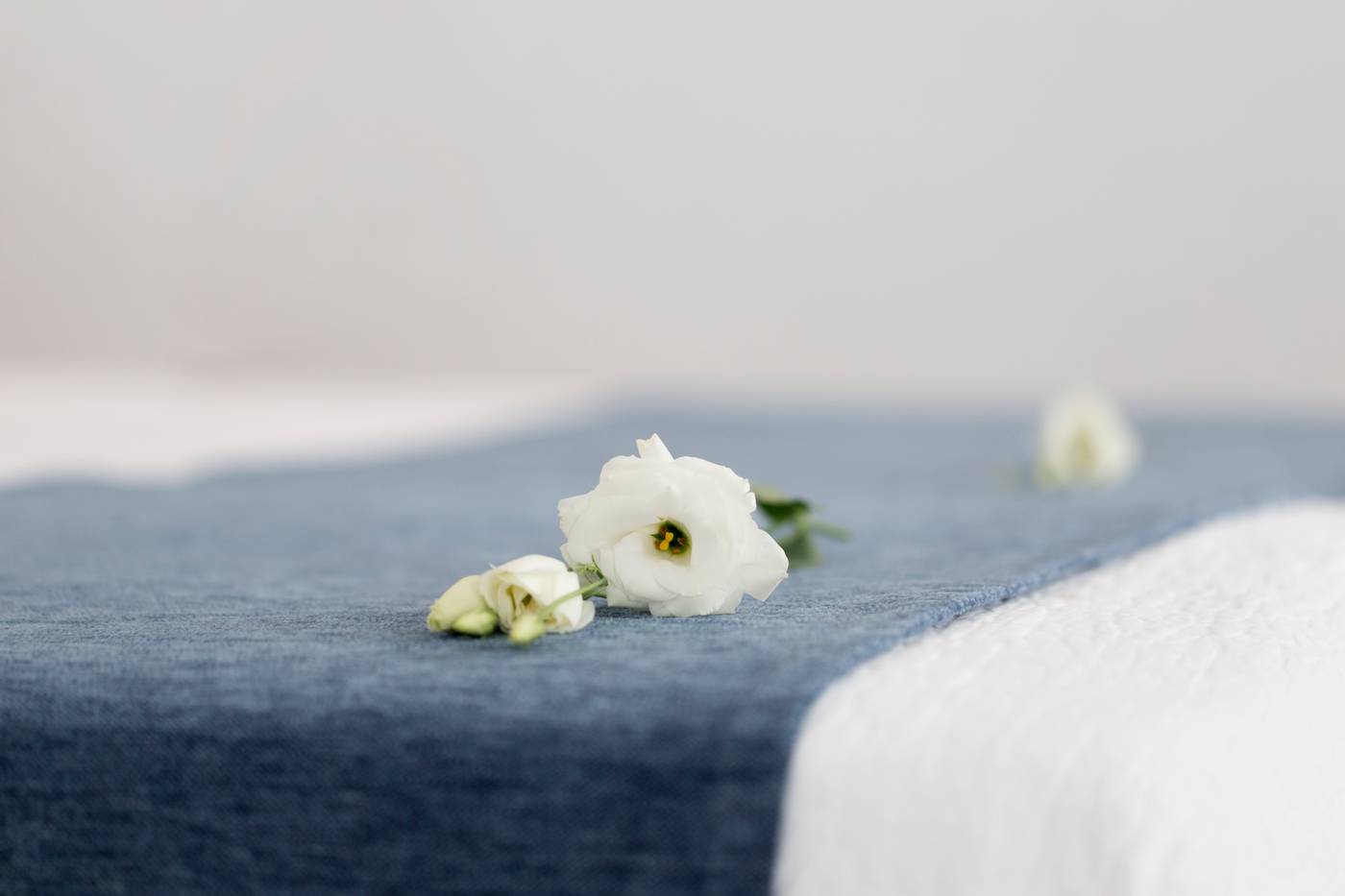 Plaza-Cavana-Room-81