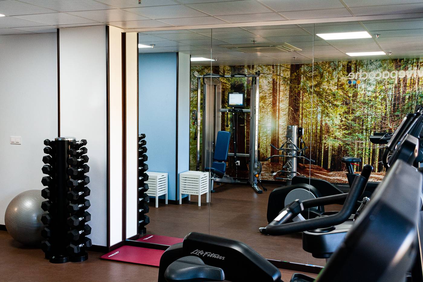 Pacoche-Murcia-Sports-and-Entertainment-50