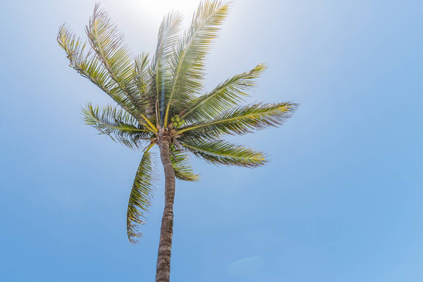 Dreams-Jade-Resort---Spa-Beach-72