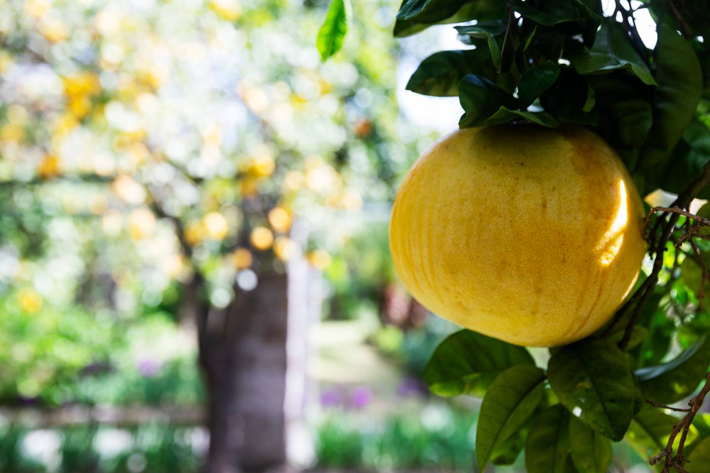 Grand-Hotel-Cocumella-General-view-24