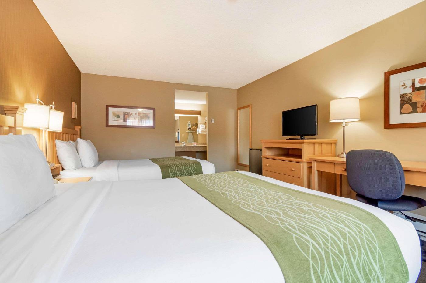 Econo-Lodge-Inn---Suites-N--Vancouver-Room-19