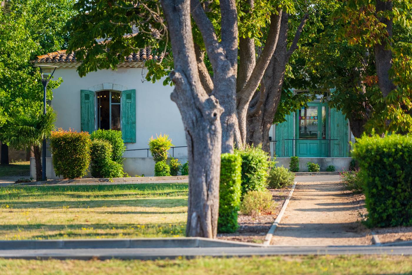 Cerise Carcassonne Sud-France-CARCASSONNE-General view-7