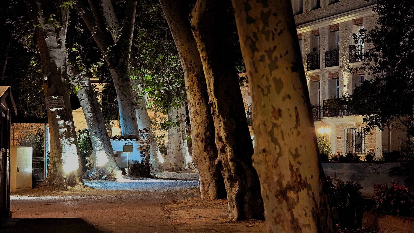 Appart Hotel Spa Perpignan-France-Perpignan-General view-3