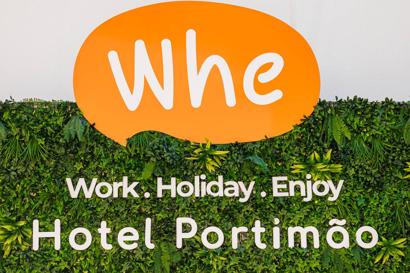 Globo-General-view-5