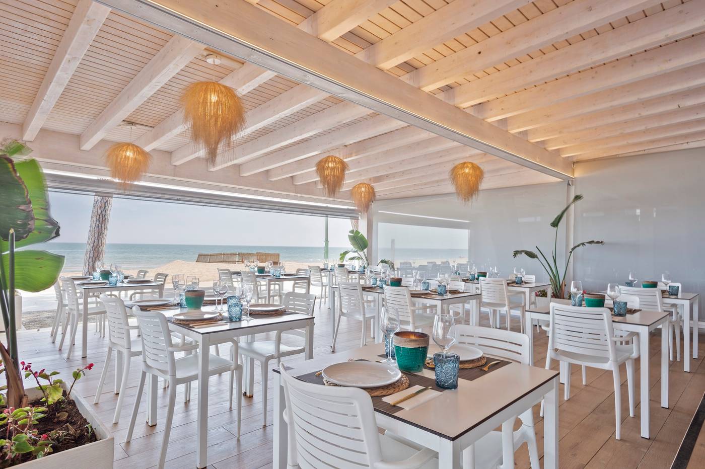 Best-Terramarina-Restaurant-35