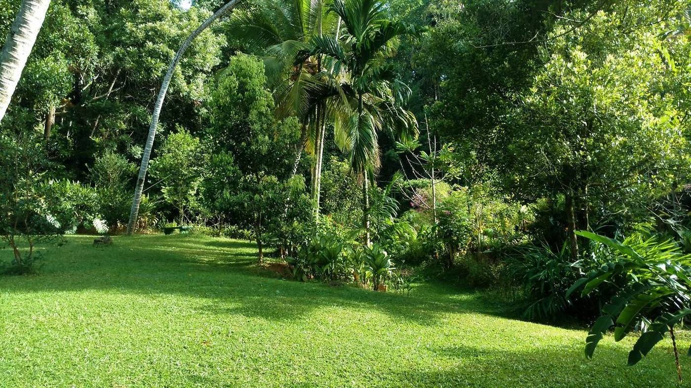 Sweet-Cinnamon-General-view-6